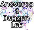 A&ntilde;overos & Duggan Lab